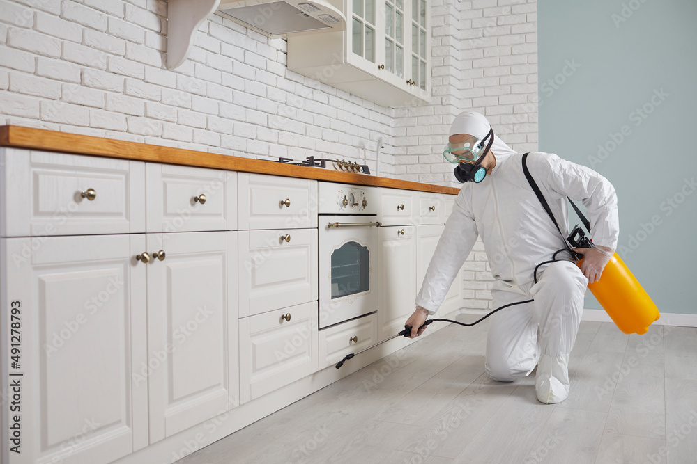 Pest-control technician applying treatment along kitchen cabinetry