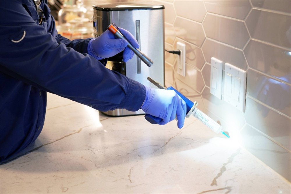 Technician using a flashlight and gel bait in a kitchen